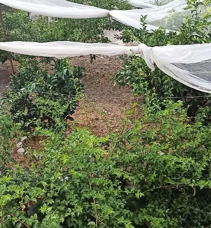 δίπλα στο κύμα -βeside The Wave Hébergement de vacances Loutra Elevtheron