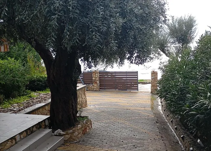 δίπλα στο κύμα -βeside The Wave